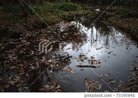 Rinshi no Mori 4 Rinshi no Mori 4 73195948