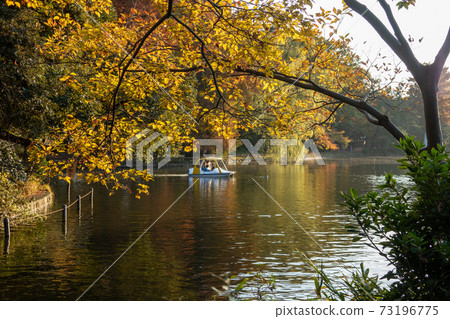 秋天的石上公園石上池塘 秋天的石上公園石上池塘 73196775