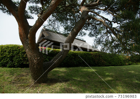 A walk in the four seasons Spring Korakuen A walk in the four seasons Spring Korakuen 73196983