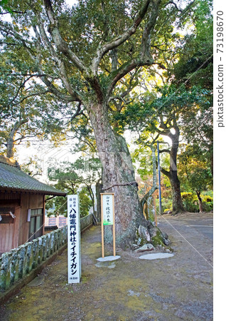 別府市八man神門神社的發電站 照片素材 圖片 圖庫