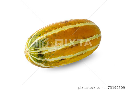 muskmelon isolated on a white background 73199309