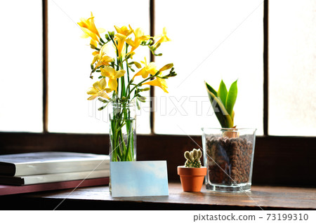 Houseplants and message cards placed on the windowsill 73199310