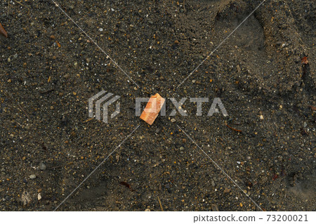 掉到地上的胡蘿蔔 掉到地上的胡蘿蔔 73200021