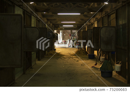 風景穩定 73200083