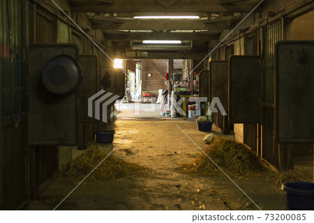 Stable scenery 73200085