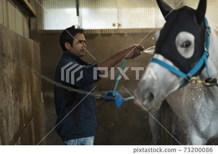 Racehorses and keeper 73200086