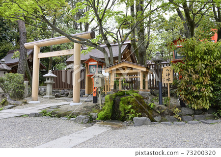Yasaka Shrine Goshinsui (Rikisui) Yasaka Shrine Goshinsui (Rikisui) 73200320