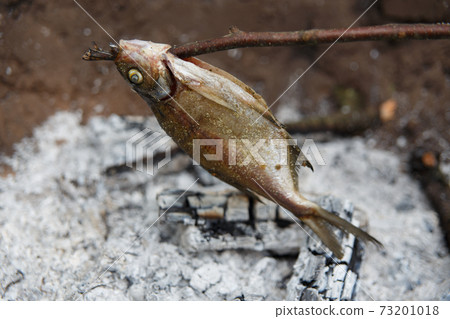 wild fish caught in the lake fried on a fire wild fish caught in the lake fried on a fire 73201018