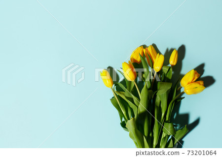 Yellow tulip flowers bouquet with hard shadow on blue background. Flat lay, copy space. Banner for seasonal holiday, springtime concept, International Woman day, 8 march, Happy Easter greeting card Yellow tulip flowers bouquet with hard shadow on blue background. Flat lay, copy space. Banner for seasonal holiday, springtime concept, International Woman day, 8 march, Happy Easter greeting card 73201064