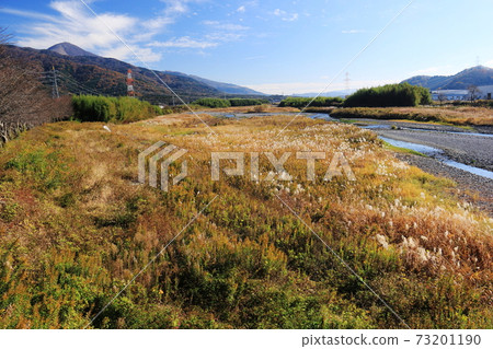 Autumn in Japan, Nagahama City, Shiga Prefecture, Anegawa Old Battlefield 73201190