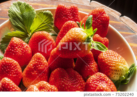 Indoor,strawberry 73202240