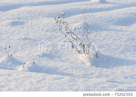 Winter, Outdoor, Buan-gun, Jeonbuk Winter, Outdoor, Buan-gun, Jeonbuk 73202503