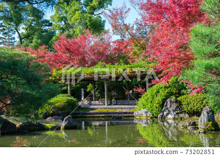 Autumn leaves of Jonangu Shrine in Kyoto Muromachi garden 73202851