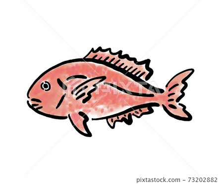 Illustration of Sakura snapper with a brush touch - Stock Illustration ...