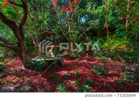 Autumn leaves of Enrian Temple in Kyoto Sagano Autumn leaves of Enrian Temple in Kyoto Sagano 73203004