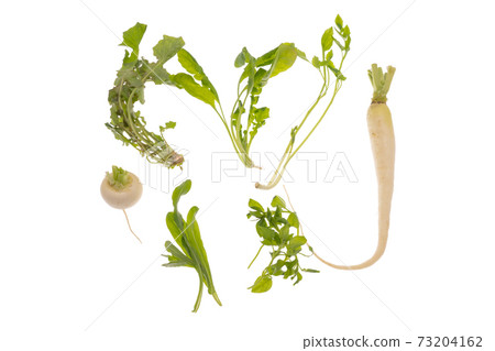 七藥草春季七藥草七藥草菇七藥粥七藥粥套 73204162