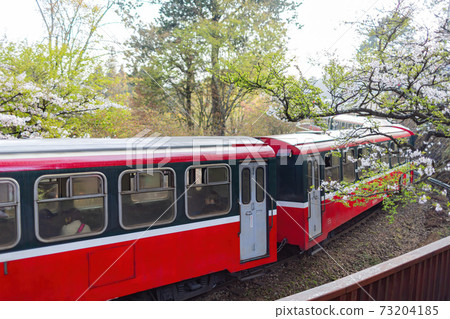 Morning view of the Yoshino cherry tree blossom and railway Morning view of the Yoshino cherry tree blossom and railway 73204185
