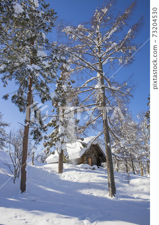 Snow-covered lodge on a sunny day 73204530