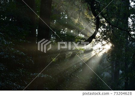 From Ise Shrine 73204628