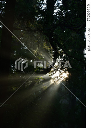 From Ise Shrine From Ise Shrine 73204629