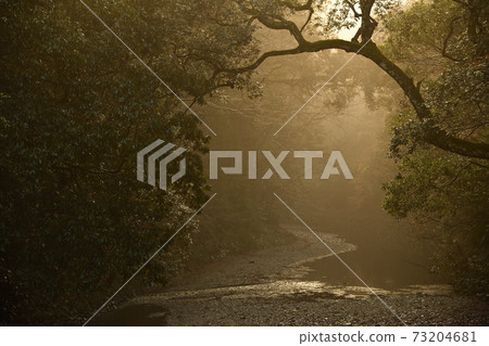 從伊勢神宮 從伊勢神宮 73204681