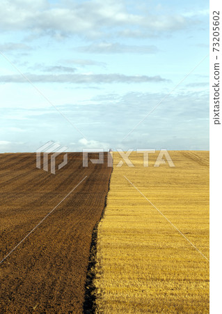 plowed fertile soil agricultural field 73205602