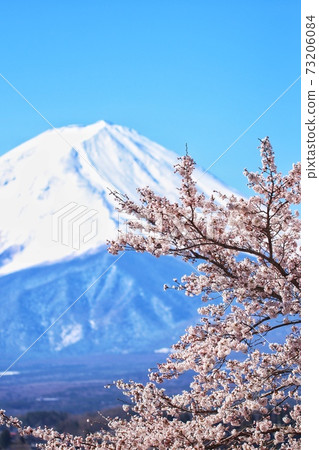 富士山41 富士山41 73206084
