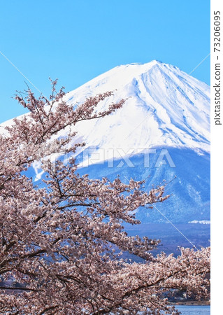 富士山45 73206095
