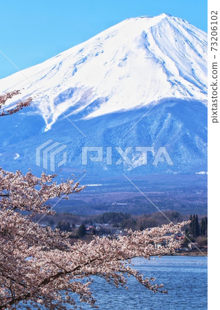 富士山48 富士山48 73206102