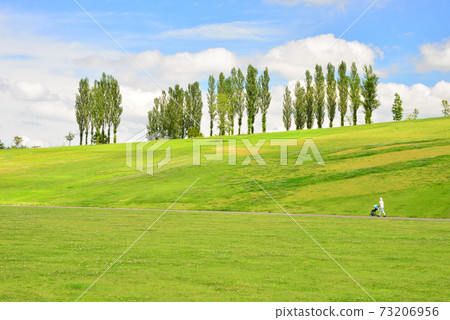 Early summer plateau Nagaoka Hillside Park Early summer plateau Nagaoka Hillside Park 73206956