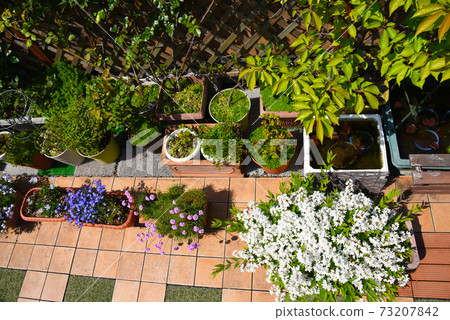 Relaxing time on the roof balcony full of flowers 73207842
