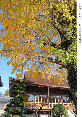 Autumn leaves of Longfuku-ji 73208352