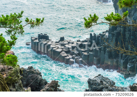 Jungmun Daepo Coast Jusangjeolli Cliff, Jeju Island Jungmun Daepo Coast Jusangjeolli Cliff, Jeju Island 73209026
