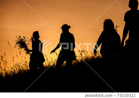 Silhouettes of People picking flowers during midsummer soltice Silhouettes of People picking flowers during midsummer soltice 73210321