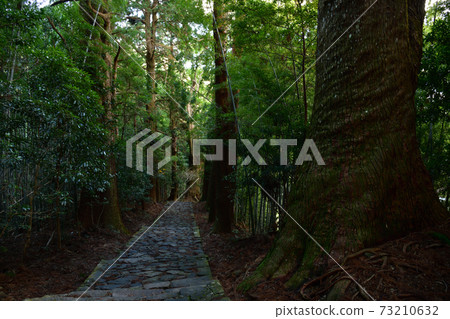 From Daimonzaka 73210632