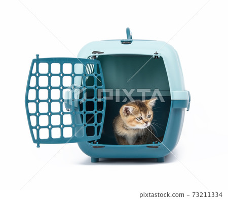 large plastic carrier cage for cats and dogs on white background large plastic carrier cage for cats and dogs on white background 73211334