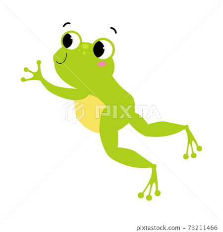 Cute Green Frog with Protruding Eyes Jumping Vector Illustration 73211466