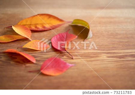 Red fallen leaves on the table 73211783