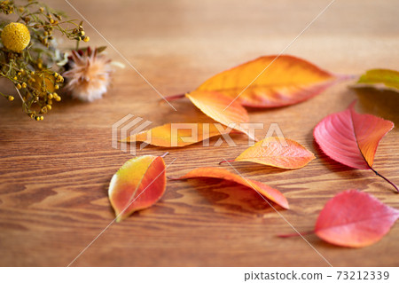 Red fallen leaves and dried flowers on the table 73212339