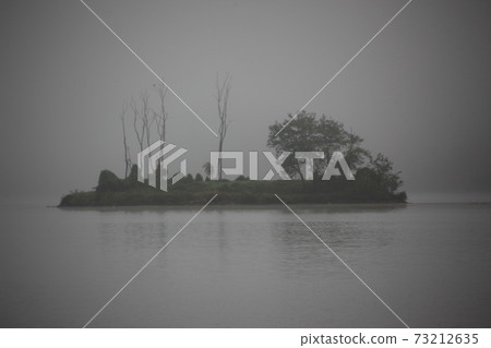 Dumulmeori, Hwangpodobae, Han River, old tree, and Bamseom Island 73212635