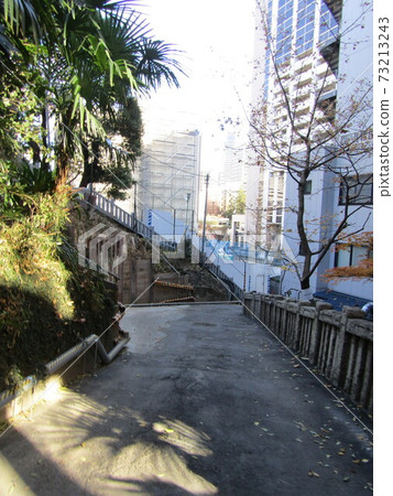 Nishikubo Hachiman Shrine Women's Slope 73213243