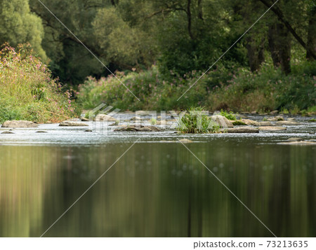 Rocks, grasses and plants in the river Rocks, grasses and plants in the river 73213635