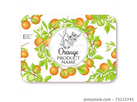 Orange Ripe citrus. Template for product label 73213745