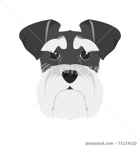 Schnauzer dog isolated on white background vector illustration Schnauzer dog isolated on white background vector illustration 73214320