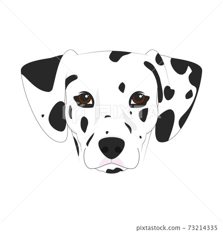 Dalmatian dog isolated on white background vector illustration 73214335