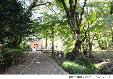 阿蘇林高隆天滿宮石雕茶ch遺址 阿蘇林高隆天滿宮石雕茶ch遺址 73217204
