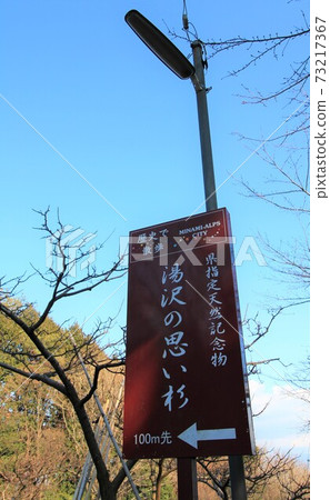 Information board "Yuzawa's thought cedar" in Yamanashi Information board "Yuzawa's thought cedar" in Yamanashi 73217367