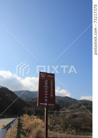 山梨縣的信息委員會“弘前的Kaya” 山梨縣的信息委員會“弘前的Kaya” 73217378