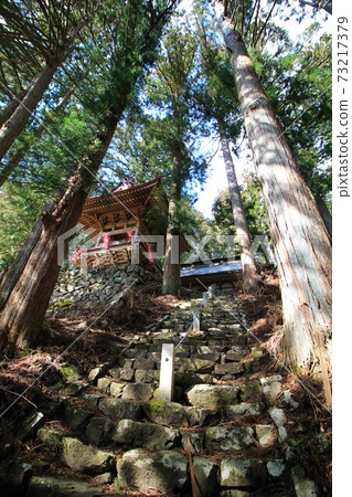 山梨縣的Gokamiki“姬路神社的大杉” 山梨縣的Gokamiki“姬路神社的大杉” 73217379