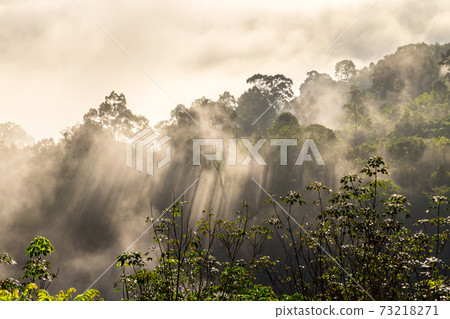 Khao Khai Nui, Sea of fog in the winter mornings at sunrise, Thailand. Khao Khai Nui, Sea of fog in the winter mornings at sunrise, Thailand. 73218271